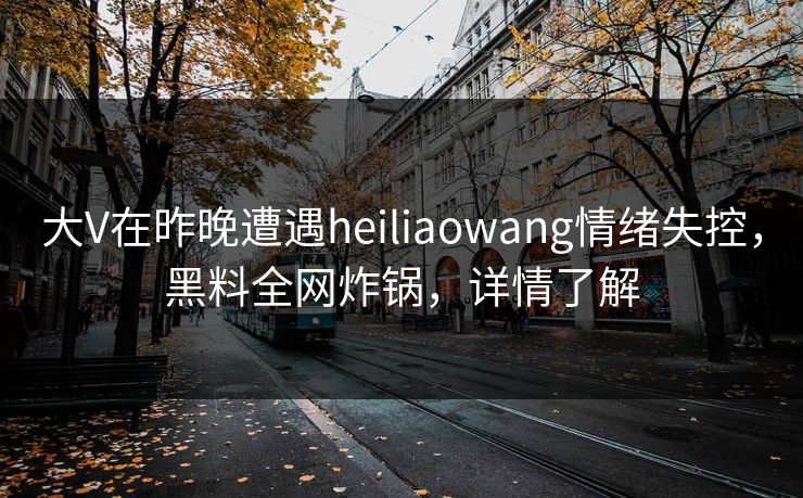 大V在昨晚遭遇heiliaowang情绪失控，黑料全网炸锅，详情了解